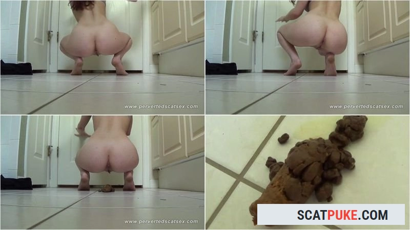 HotDirtyIvone - PERVERTEDSCATSEX SUSAN BIG POOP SCAT - HD 720p  [52.2 MB]