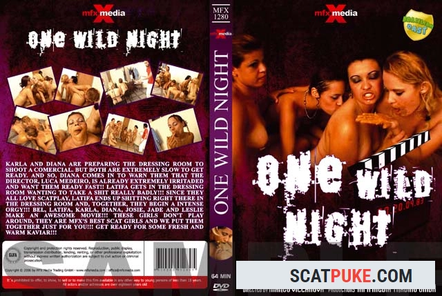 Latifa, Karla, Bel, Diana, Leslie, Josie, Jade - MFX-1280 One Wild Night - DVDRip  [700 MB]
