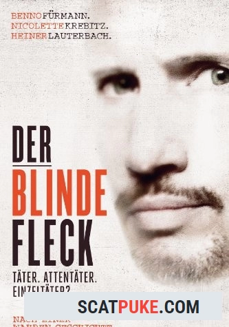 Der blinde Fleck (2013) - Full HD 1080p  [236.89 MB]