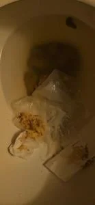 Flushes shit down the toilet - UltraHD 4K [9.00 MB]