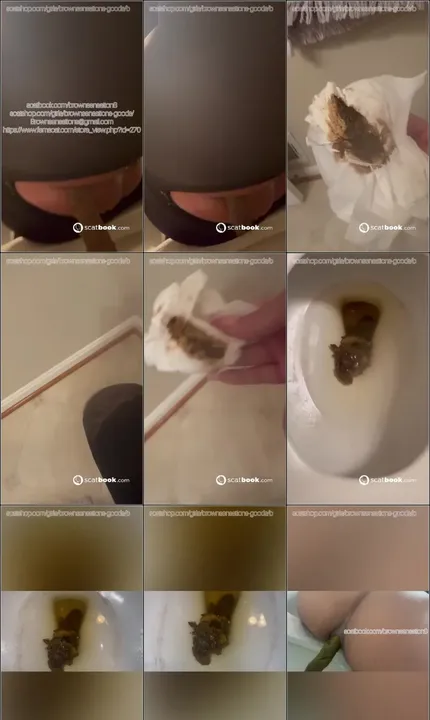 Toilet Dumps with, Kaviar SD - scat porn video at ScatPuke.com