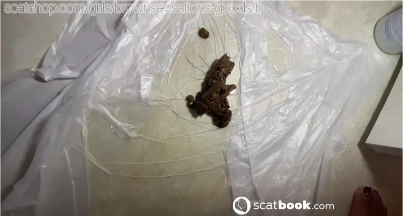 Two shits in home, Kaviar - scat porn video at ScatPuke.com