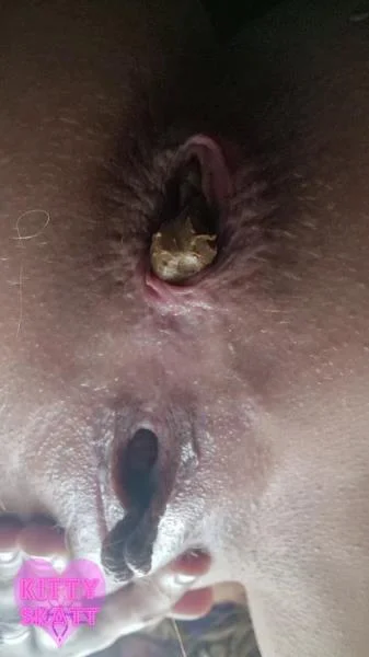 Festival Constipation - SD [517 MB]