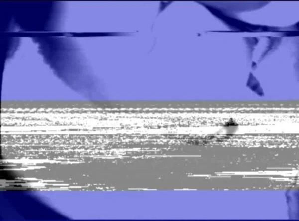 Shit compilation 003 - SiteRip  [1.5 GB]