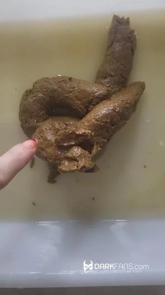 Toilet Pov - Hoy He Hecho Este Delicioso Pastel De Mierda - UltraHD 2K [66.2 MB]
