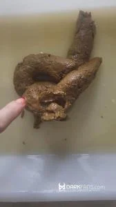 Toilet Pov - Hoy He Hecho Este Delicioso Pastel De Mierda - UltraHD 2K [66.2 MB]