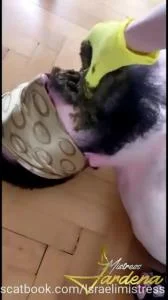 Scat lunch for my dirty slut - SD [Mistress Jardena  
] Femdom , Solo