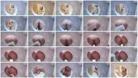 Preparando Tu Scat - HD 720p [Miss Lith  
] Spain, Femdom  - :ScatPuke