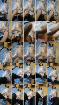 Pies Darkfans - SD [Miss Lith  
] Amateur, Humiliation - :ScatPuke