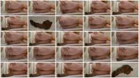 All Summer Log - HD 720p [Lady Tsunam  
] Big Pile, Defecation - :ScatPuke