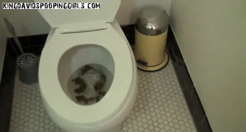 Drew Huge Toilet Poop!, Piss - Alina - scat porn video at ScatPuke.com