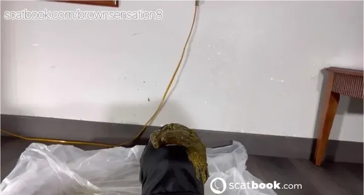 Toilet clip (Scatbook) - scat porn video at ScatPuke.com