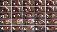Anal Leakage 2 - FullHD 1080p [Sexy Flatulence  
] Milf, Defecation - :ScatPuke