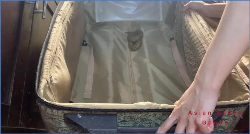 Marinayam19 - Shit in Suitcase, Dragged Around Town! - scat porn video at ScatPuke.com