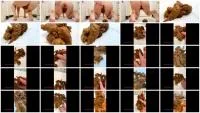 Doggy Dump - Treasure Hunt - FullHD 1080p [Layla Lee  
] Panty - :ScatPuke