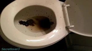 Toilet Spray - FullHD 1080p [Sorsha aka Secretlover3] Poop, Amateur