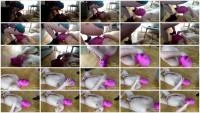 Shiteater for pervert Mistress - HD 720p [Mistress Jardena  
] Domination, Humiliation - :ScatPuke