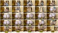 Steam Roller - FullHD 1080p [Classy N Gassy  
] Teasing, Toilet - :ScatPuke