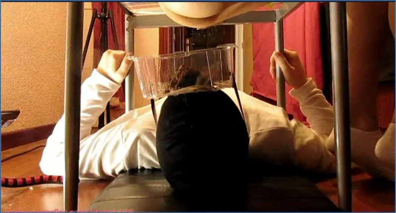 Diferent View - Femdom Fetish, USA - scat porn video at ScatPuke.com