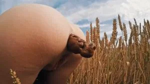 HUGE Summer Field Poop - HD 720p [Mia Skye aka MiaRoxxx] Germany, Dirty Anal