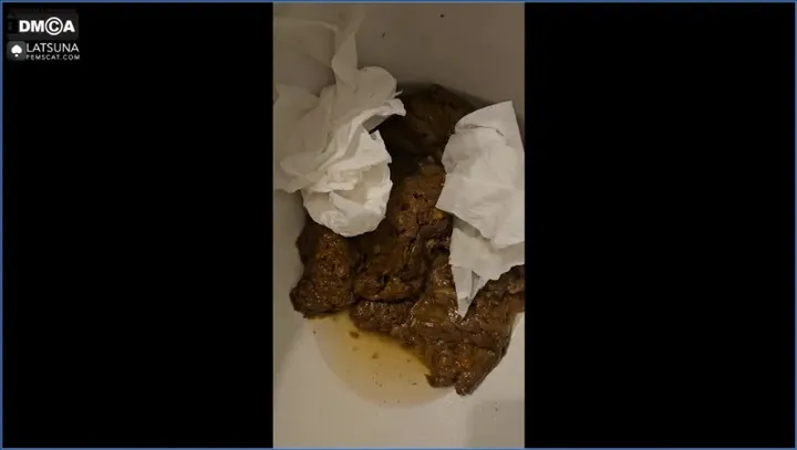 Lady Tsunam - Toilet Miracle, Anal Domination - scat porn video at ScatPuke.com