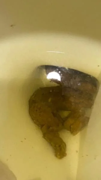 Shitting On The Bathroom Floor At Work - SD [Brownsensations] Poop, Big Ass