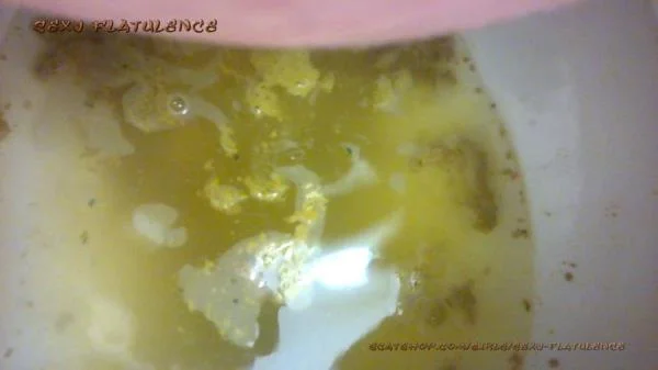 Diarrhea In The Toilet [FullHD 1080p] Milf, Solo