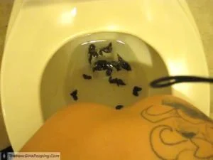 Scatting Girl - 2 [SD] Milf, Homemade