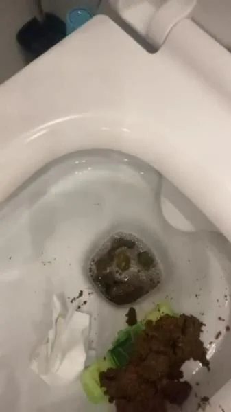 Daily portion of shit for my bitches [SD] Kaviar, Humiliation