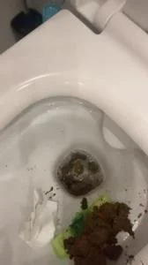 Daily portion of shit for my bitches [SD] Kaviar, Humiliation