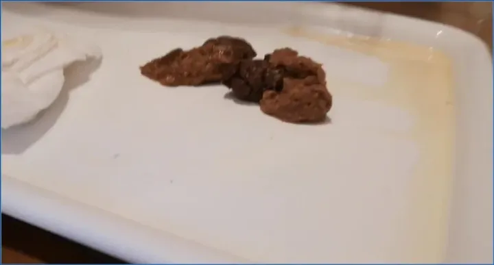 Badkitty España - Macrophilia with My Poop, Shitting & Peeing - scat porn video at ScatPuke.com