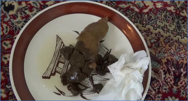 Poop on a Plate (My First Clip!) with Tegan, Shitting Solo Smearing Peeing in high quality. - scat porn video at ScatPuke.com