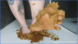 Shit flavour feet [HD 720p]  Lady Phoenix
