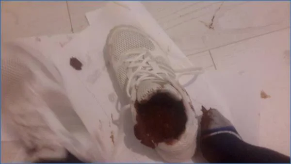 Goddess Messy Sneakers [Full HD 1080p]  Thefartbabes