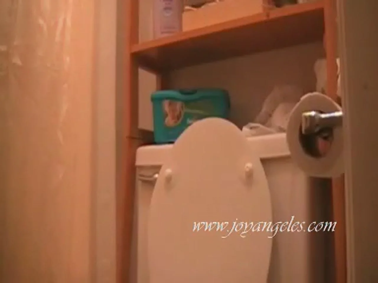 Joyangeles Amateur Toilet Poop Clip From The 2008 Vault - pooping - scat porn video at ScatPuke.com